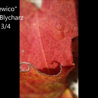 Święta Dziewico J. Blycharz 320x320 - Zapraszamy na koncert