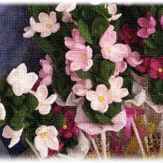 palma 320x320 - Warsztaty z palmą