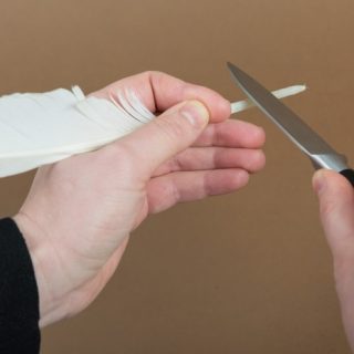 gesie pioro 320x320 - Kaligrafia. Jak pisano gęsim piórem?