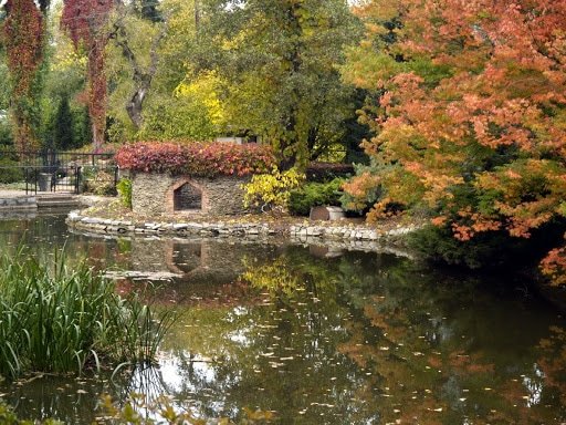 wycieczka do arboretrum w wojsławicach