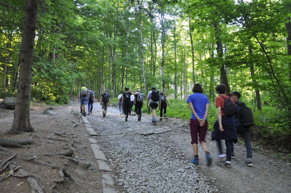 Na gorskich wedrowkach3 - Na górskich wędrówkach