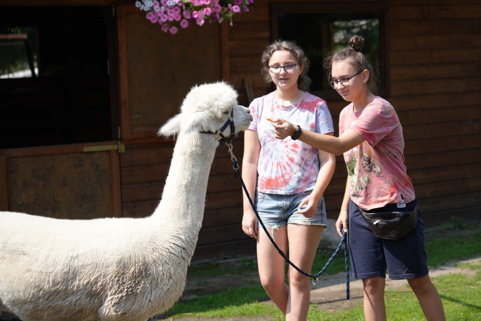 Drugi turnus polkolonii z Fundacja FONIS 3 - Drugi turnus półkolonii z Fundacją FONIS