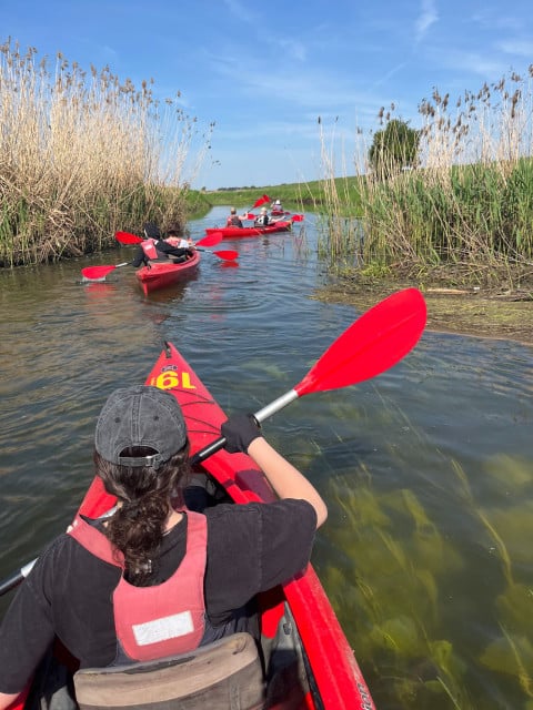 Aktywna majowka wolontariuszy 3 - Aktywna majówka wolontariuszy