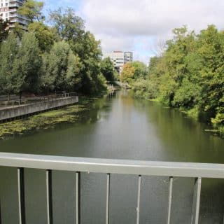 Widok z mostu na rzekę płynącą wśród bujnej zieleni