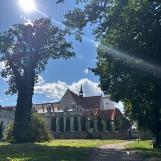 Słońce nad klasztorem i kościołem usytuowanym w tle między drzewami