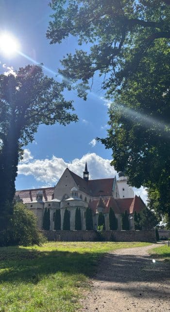 Pielgrzymka do Henrykowa 2025 1 350x640 - Pielgrzymka do Henrykowa 2025