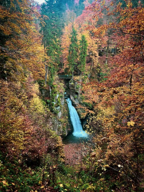 Jesienno zimowa wyprawa wolontariuszy 2 1 - Jesienno-zimowa wyprawa wolontariuszy