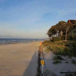 Nabrzeże morza z plażą i roślinnością na jej skraju