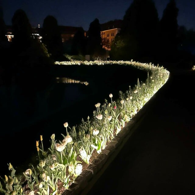 Wieczorny spacer dla seniorów